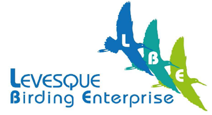 LBE